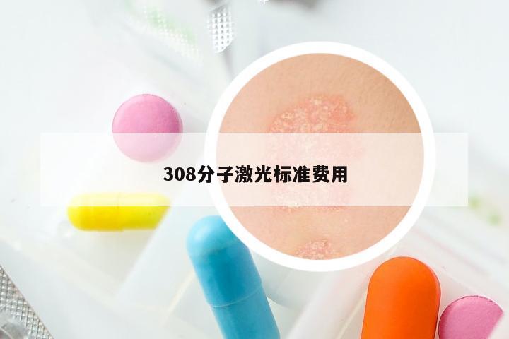 308分子激光标准费用